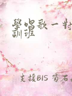 学唱歌一对一培训班