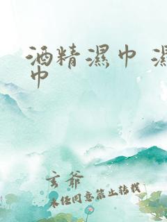 酒精湿巾 湿纸巾