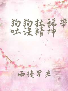 狗狗拉稀带血呕吐没精神