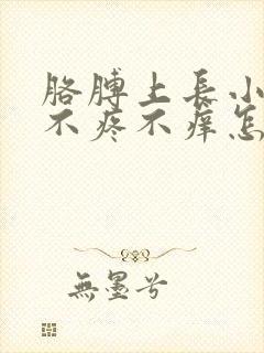 胳膊上长小红点不疼不痒怎么回事