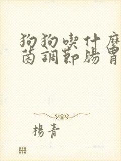 狗狗吃什么益生菌调节肠胃