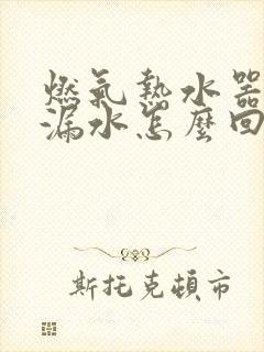 燃气热水器内部漏水怎么回事