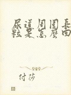 尿道周围长小颗粒是怎么回事