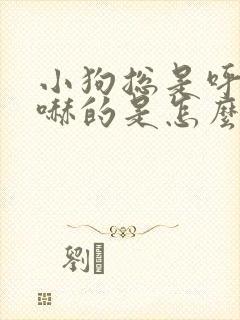 小狗总是呼哧呼哧的是怎么回事