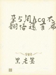 孕5周hcg不翻倍还有希望吗