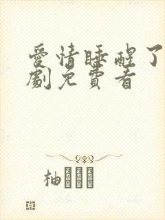 爱情睡醒了电视剧免费看