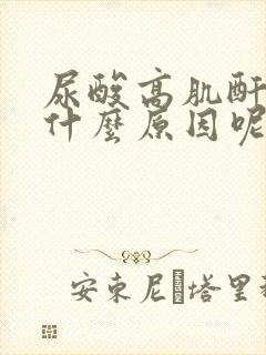 尿酸高肌酐高是什么原因呢