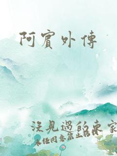 阿宾外传