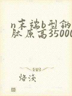 n末端b型钠尿肽原高35000