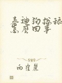 泰迪狗总舔爪子怎么回事