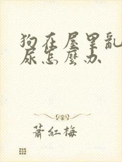 狗在屋里乱拉乱尿怎么办