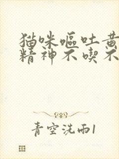 猫咪呕吐黄水没精神不吃不喝怎么办