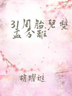 31周胎儿双肾盂分离