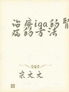 治疗iga的肾病的方法