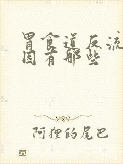 胃食道反流的病因有那些