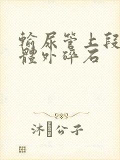 输尿管上段结石体外碎石