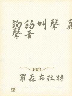 狗的叫声 真实声音