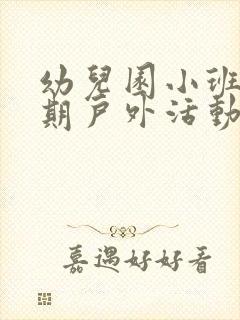 幼儿园小班下学期户外活动总结