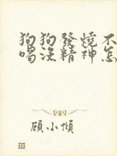 狗狗发烧不吃不喝没精神怎么办