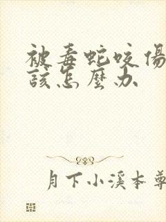 被毒蛇咬伤后应该怎么办