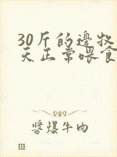 30斤的边牧一天正常喂食量