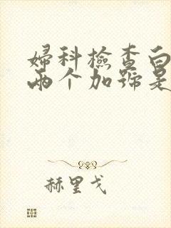 妇科检查白细胞两个加号是什么意思