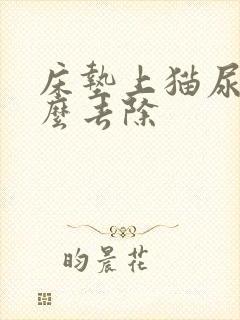 床垫上猫尿味怎么去除