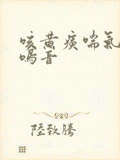 咳黄痰喘气有痰鸣音