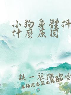 小狗身体抖动是什么原因