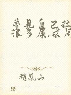 梦见自己拉很多很多屎,求周公解梦