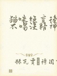 猫咪绝育后不吃不喝没精神只趴着