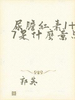 尿胆红素1+17是什么意思