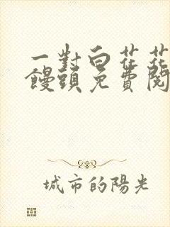 一对白花花的大馒头免费阅读