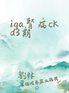 iga肾病ckd3期