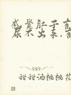 感觉肚子有尿又尿不出来,有点胀痛