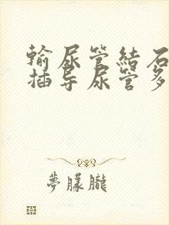 输尿管结石术后插导尿管多久可以拔