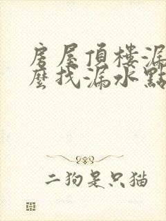 房屋顶楼漏水怎么找漏水点