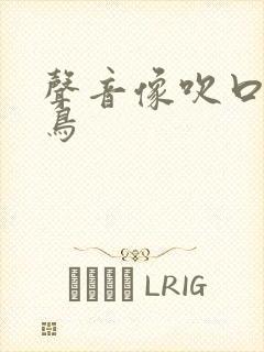 声音像吹口哨的鸟
