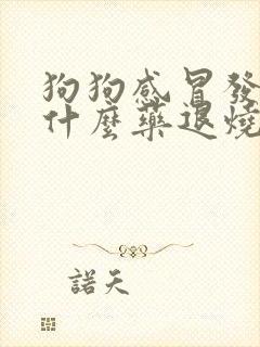 狗狗感冒发烧喝什么药退烧