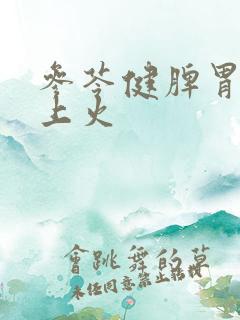 参苓健脾胃颗粒上火