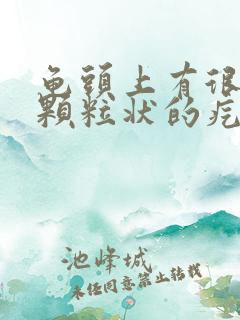 龟头上有很多小颗粒状的疙瘩