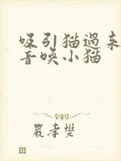 吸引猫过来的声音唤小猫