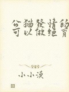 公猫发情的时候可以做绝育手术吗