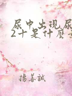 尿中出现尿蛋白2十是什么意思