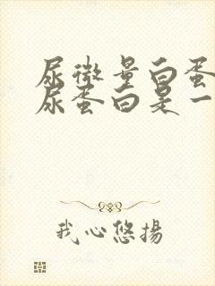 尿微量白蛋白和尿蛋白是一样的吗