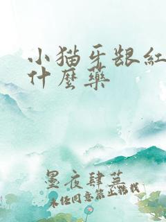 小猫牙龈红肿吃什么药