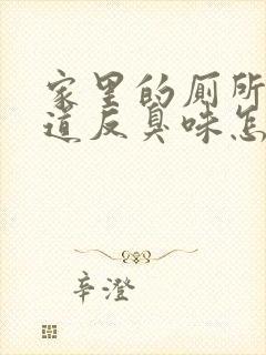 家里的厕所下水道反臭味怎么办