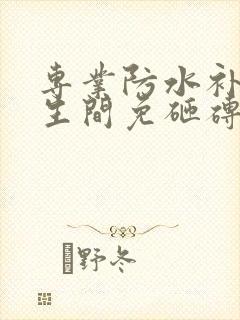 专业防水补漏卫生间免砸砖