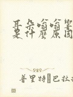 耳朵嗡嗡响头晕是什么原因引起的