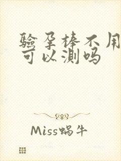 验孕棒不用晨尿可以测吗